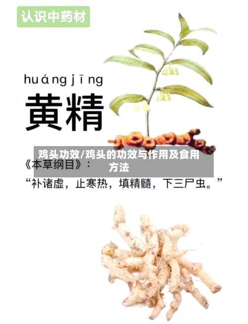 鸡头功效/鸡头的功效与作用及食用方法