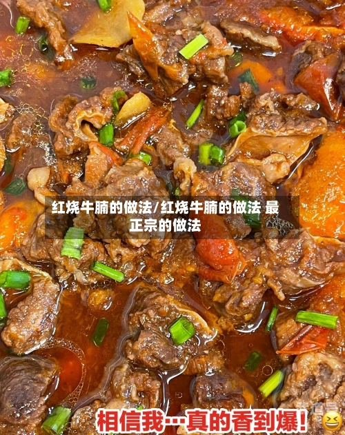 红烧牛腩的做法/红烧牛腩的做法 最正宗的做法