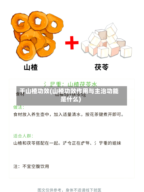 干山楂功效(山楂功效作用与主治功能是什么)
