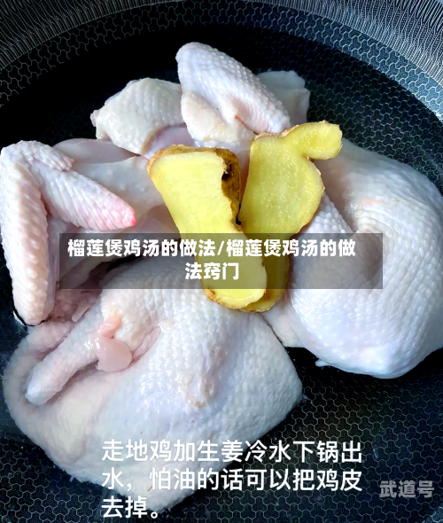 榴莲煲鸡汤的做法/榴莲煲鸡汤的做法窍门