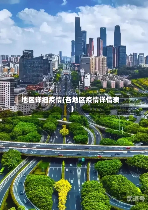 地区详细疫情(各地区疫情详情表)