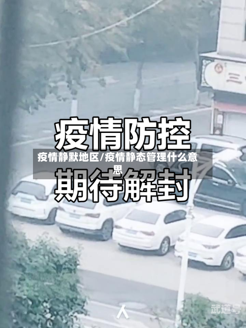 疫情静默地区/疫情静态管理什么意思