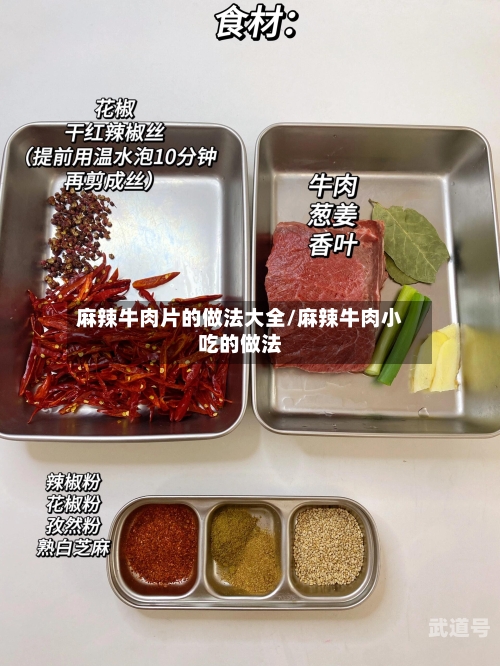 麻辣牛肉片的做法大全/麻辣牛肉小吃的做法