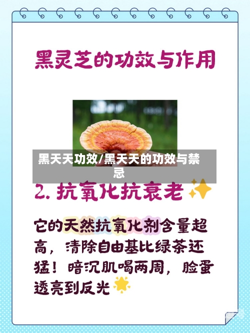 黑天天功效/黑天天的功效与禁忌