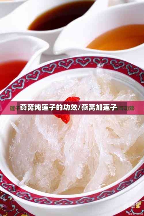 燕窝炖莲子的功效/燕窝加莲子
