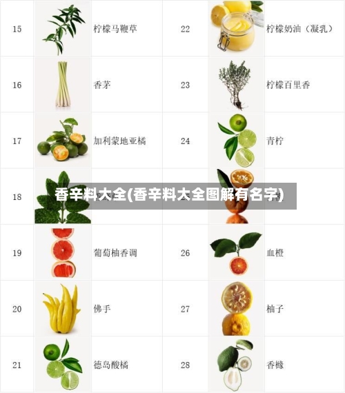 香辛料大全(香辛料大全图解有名字)
