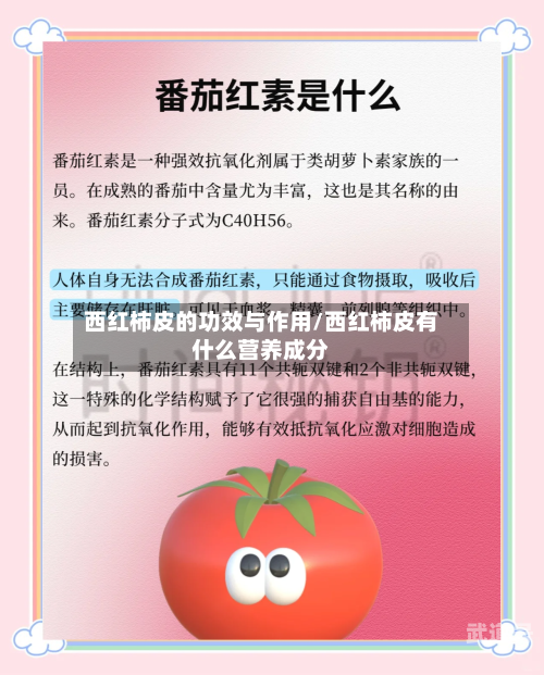 西红柿皮的功效与作用/西红柿皮有什么营养成分