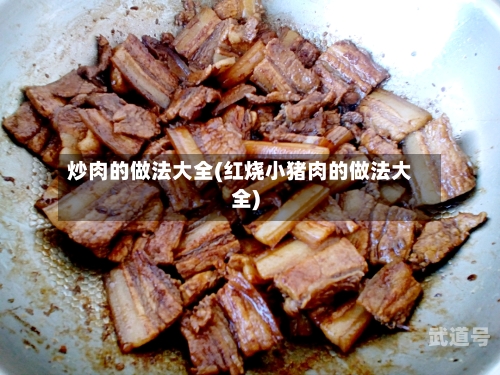 炒肉的做法大全(红烧小猪肉的做法大全)