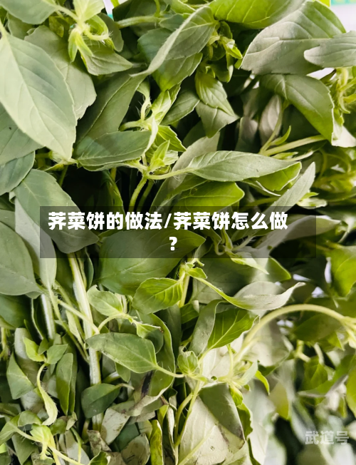荠菜饼的做法/荠菜饼怎么做?