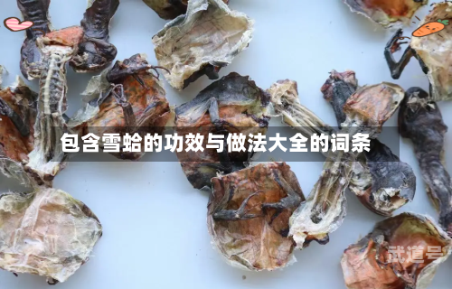 包含雪蛤的功效与做法大全的词条