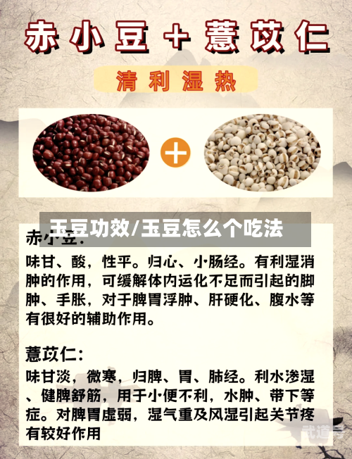 玉豆功效/玉豆怎么个吃法