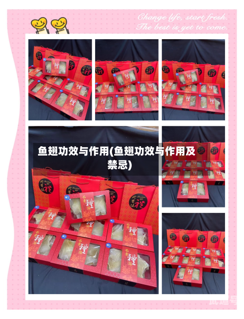 鱼翅功效与作用(鱼翅功效与作用及禁忌)