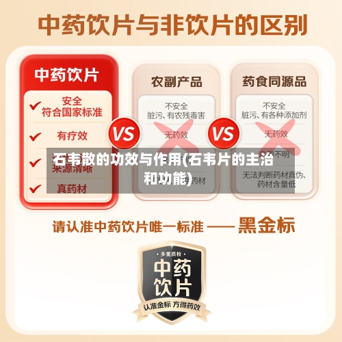 石韦散的功效与作用(石韦片的主治和功能)