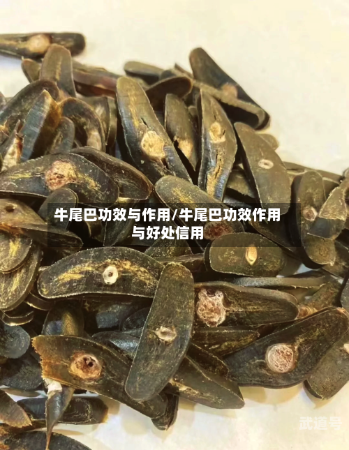 牛尾巴功效与作用/牛尾巴功效作用与好处信用