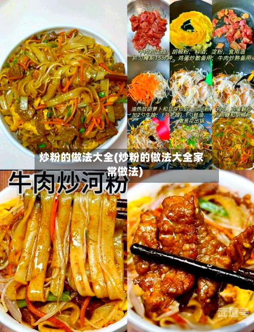 炒粉的做法大全(炒粉的做法大全家常做法)