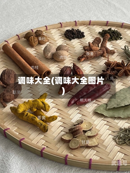 调味大全(调味大全图片)