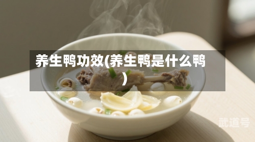 养生鸭功效(养生鸭是什么鸭)