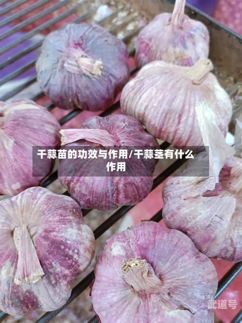 干蒜苗的功效与作用/干蒜茎有什么作用