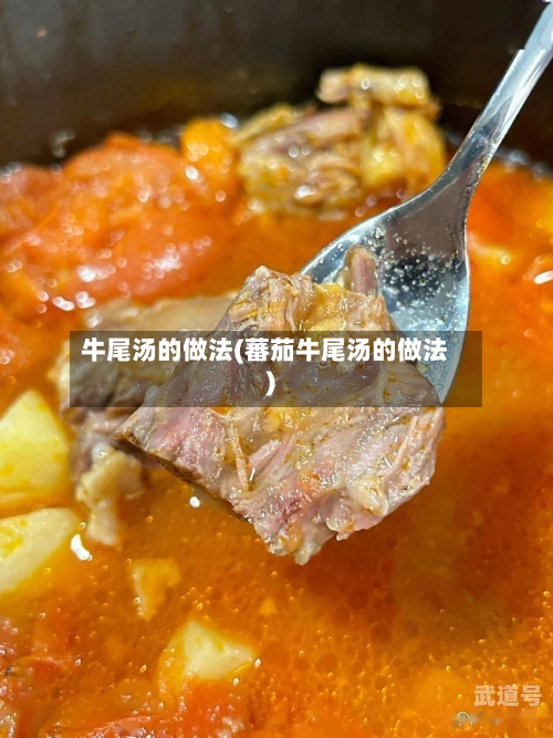 牛尾汤的做法(蕃茄牛尾汤的做法)