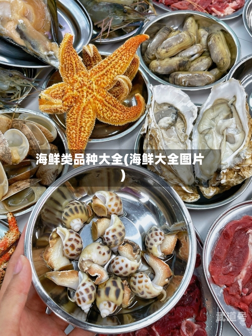 海鲜类品种大全(海鲜大全图片)