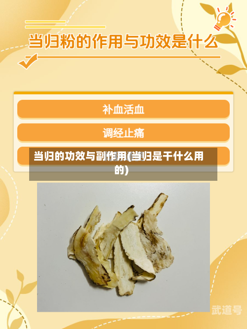 当归的功效与副作用(当归是干什么用的)
