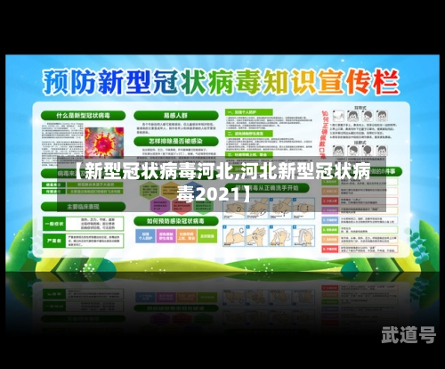 【新型冠状病毒河北,河北新型冠状病毒2021】