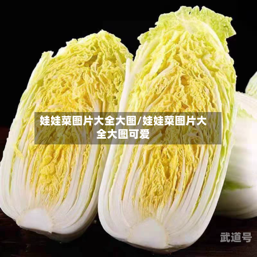 娃娃菜图片大全大图/娃娃菜图片大全大图可爱
