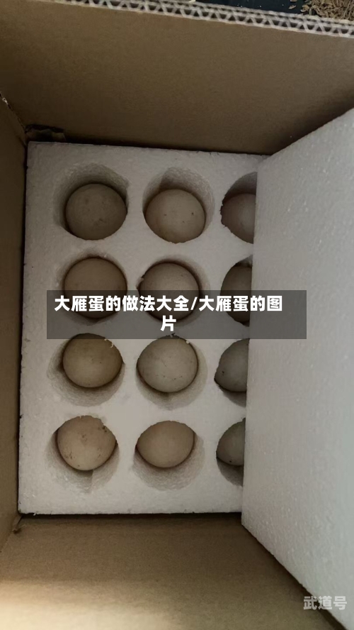 大雁蛋的做法大全/大雁蛋的图片