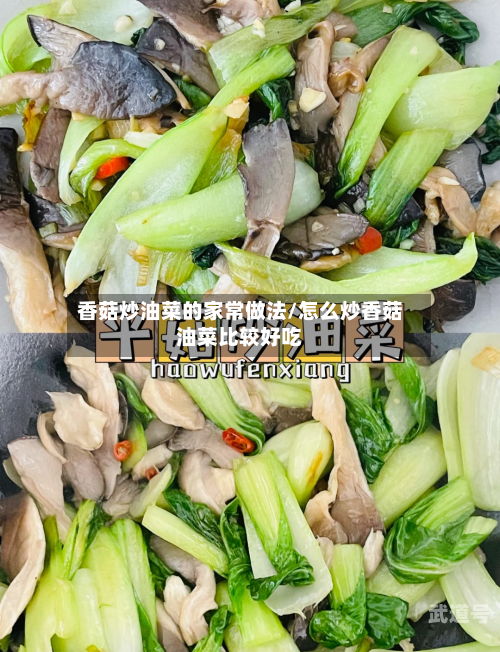 香菇炒油菜的家常做法/怎么炒香菇油菜比较好吃