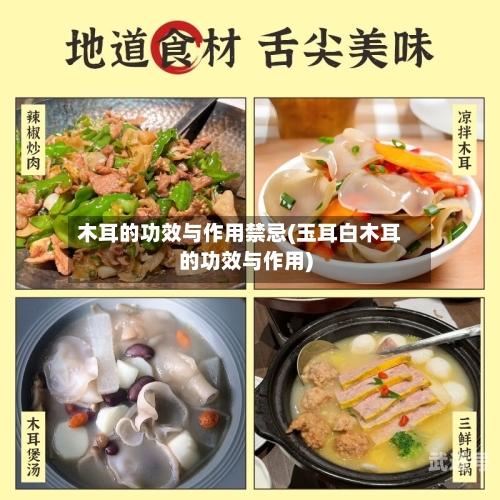 木耳的功效与作用禁忌(玉耳白木耳的功效与作用)