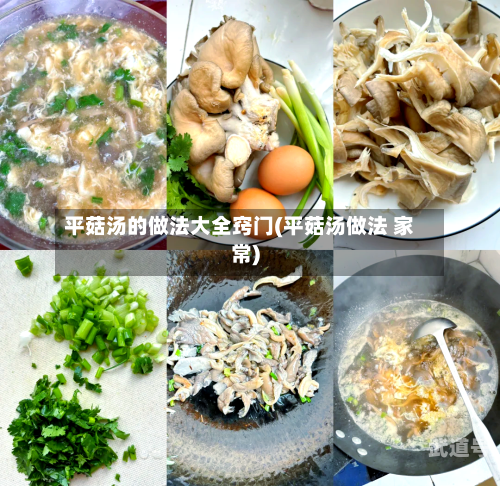 平菇汤的做法大全窍门(平菇汤做法 家常)
