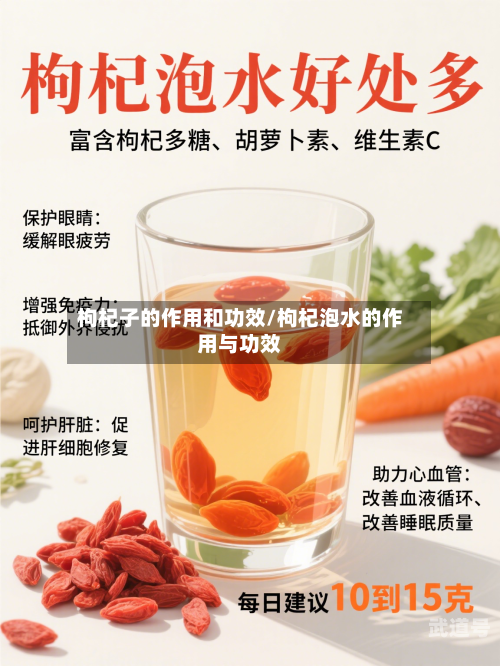 枸杞子的作用和功效/枸杞泡水的作用与功效