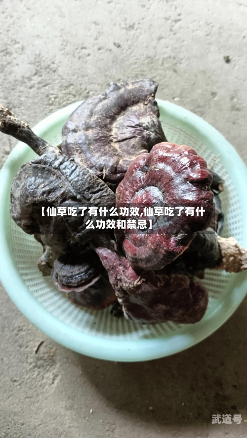 【仙草吃了有什么功效,仙草吃了有什么功效和禁忌】