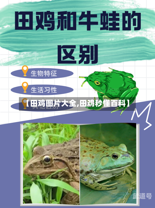 【田鸡图片大全,田鸡秒懂百科】