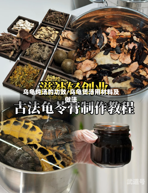 乌龟炖汤的功效/乌龟煲汤用材料及做法
