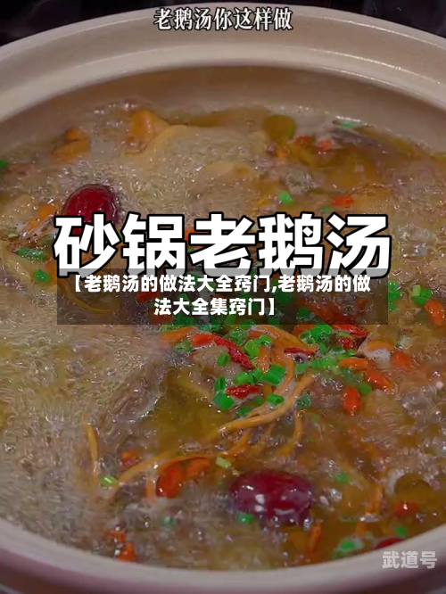 【老鹅汤的做法大全窍门,老鹅汤的做法大全集窍门】