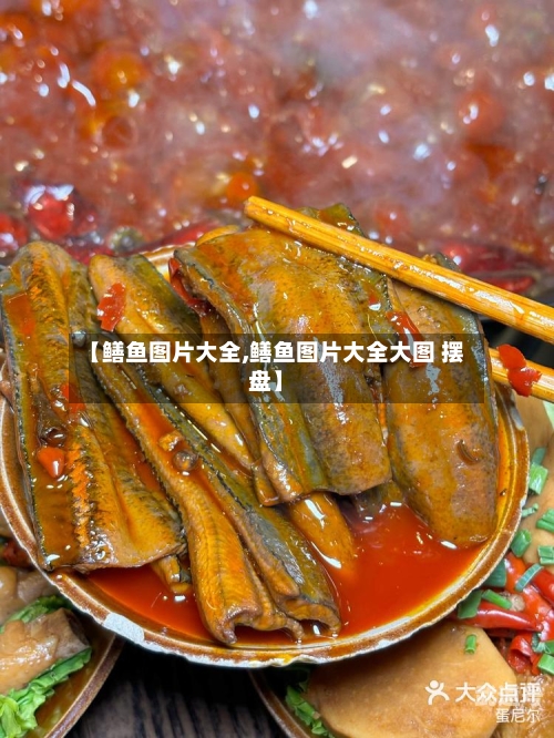 【鳝鱼图片大全,鳝鱼图片大全大图 摆盘】