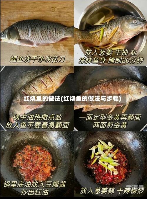 红烧鱼的做法(红烧鱼的做法与步骤)
