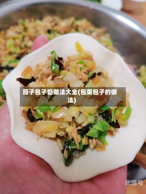 茄子包子馅做法大全(包菜包子的做法)