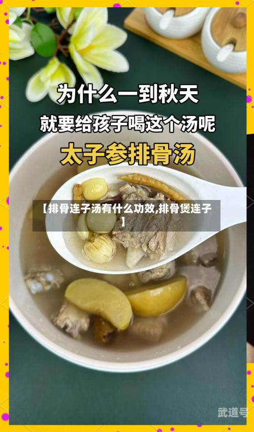 【排骨连子汤有什么功效,排骨煲连子】