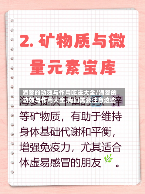 海参的功效与作用吃法大全/海参的功效与作用大全,我们需要注意这些