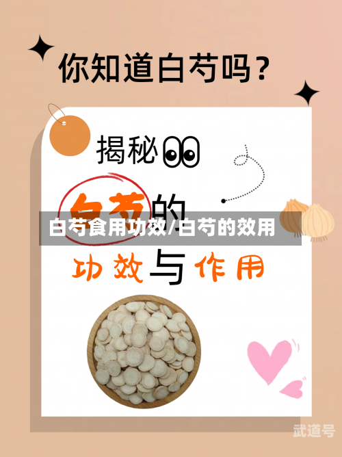 白芍食用功效/白芍的效用