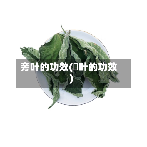 旁叶的功效(禇叶的功效)