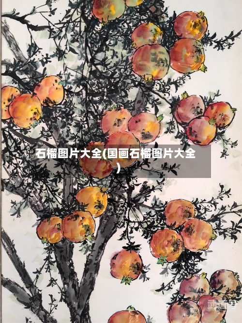 石榴图片大全(国画石榴图片大全)