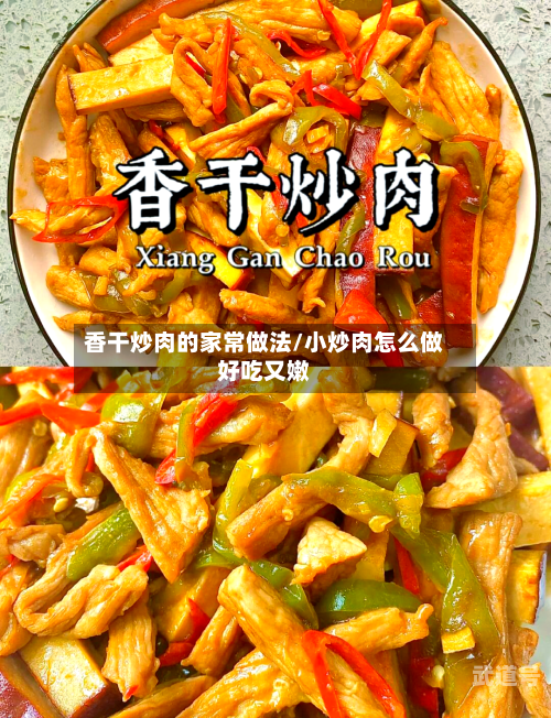 香干炒肉的家常做法/小炒肉怎么做好吃又嫩