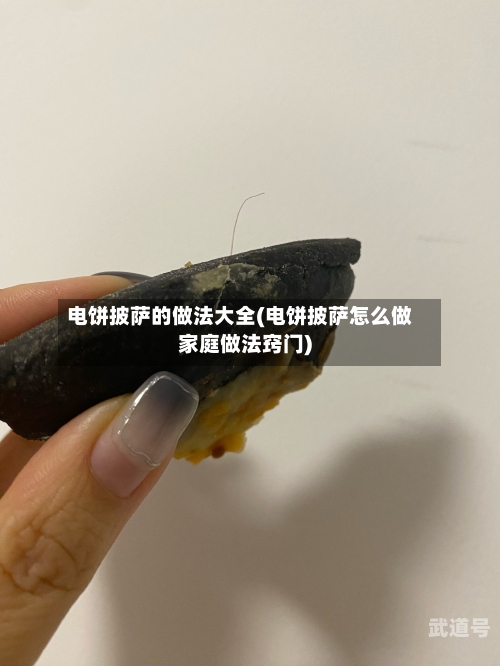 电饼披萨的做法大全(电饼披萨怎么做家庭做法窍门)