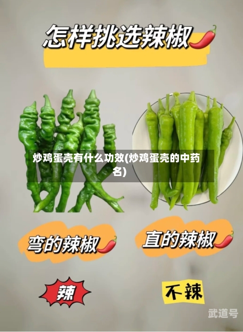炒鸡蛋壳有什么功效(炒鸡蛋壳的中药名)