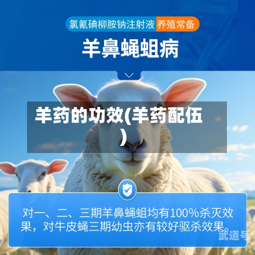 羊药的功效(羊药配伍)
