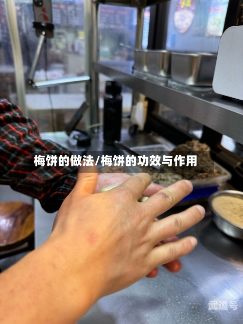 梅饼的做法/梅饼的功效与作用