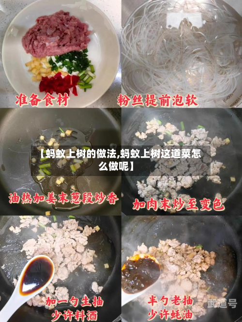 【蚂蚁上树的做法,蚂蚁上树这道菜怎么做呢】